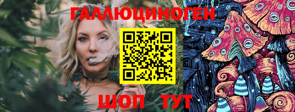 Людиново  Псилоцибиновые грибы Magic Shrooms  Вход с VPN 